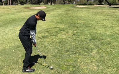 Junior Spotlight: Daniel Choi
