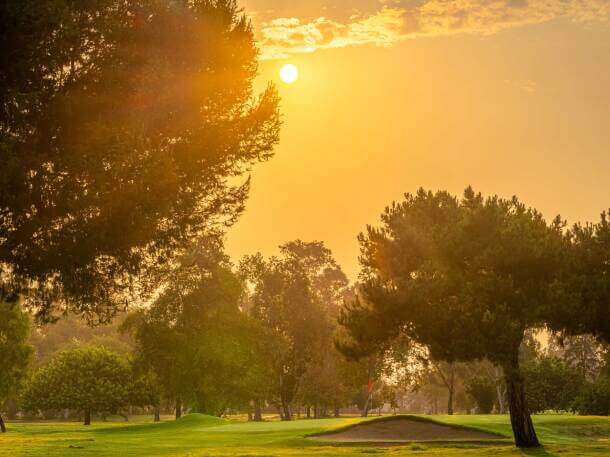 willowickgc